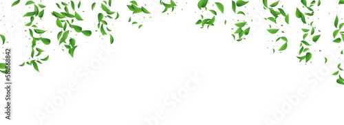 Olive Leaf Blur Vector Panoramic White Background