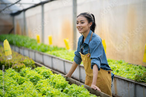 Smart farm concept.organic vegetable garden at greenhouse.