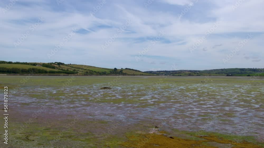 A vast and spectacular tidal marshland in the southern reaches of Ireland, nature's beauty. A vast and spectacular tidal marshland in the southern reaches of Ireland, nature's beauty.