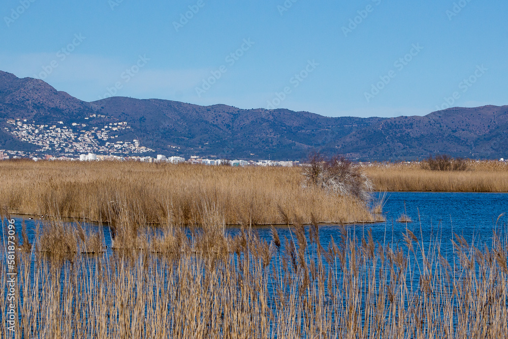 paysage du parc naturel des aiguamolls Stock Photo Adobe Stock