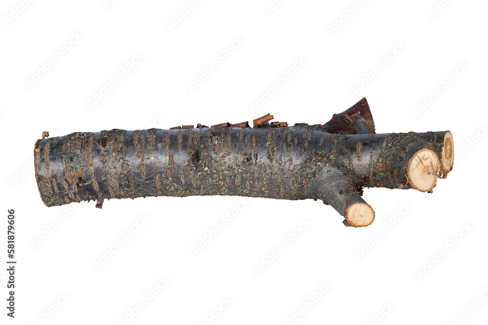 log, log wood, saw cut stick isolate log, log wood, saw cut stick isolate