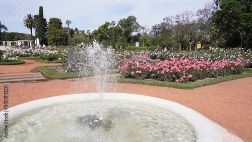 Fuente de Agua en cámara lenta en un enorme Parque de Rosales y árboles en el medio de la ciudad photo