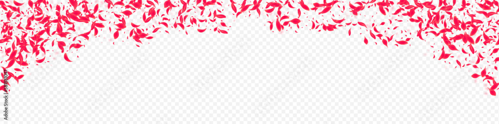 Pink Lotus Vector Transparent Panoramic Pink Lotus Vector Transparent Panoramic