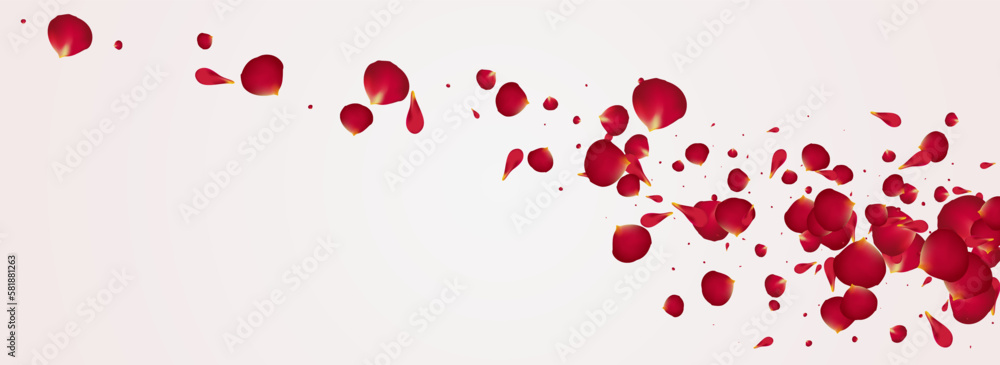 Delicate Flower Blur Vector Panoramic White