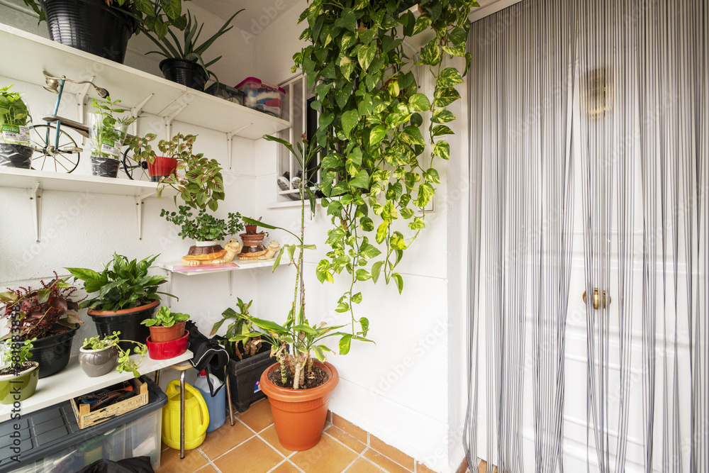 Indoor plants on an entrance terrace to a single-family home with a white armored door with a mosquito net
