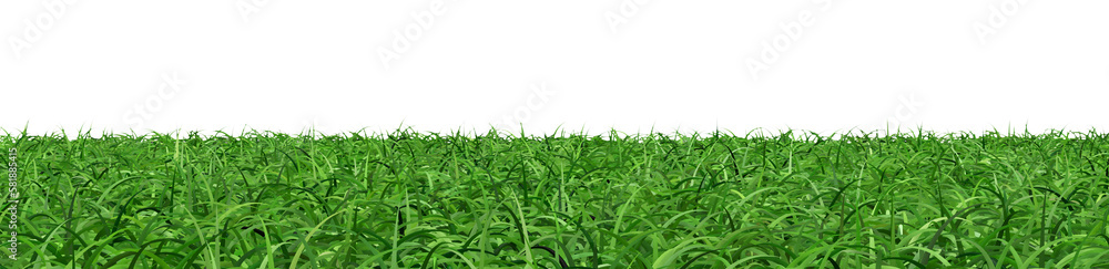 Obraz premium Abstract green grass and nature background image.,3d rendering