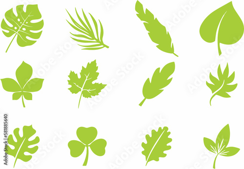 Collection of leaf icons. Leaves icon.Leaves of Different trees and plants. Elements design for natural  eco  bio  vegan labels  banner and poster. Editable vector  eps 10 format. 