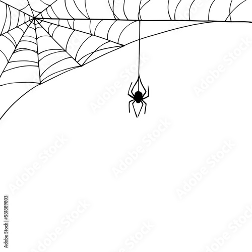 Linear sketch of a corner web with a spider.Vector graphics.	
