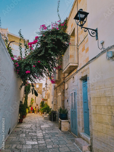 Sunset in tharming tiny Italian alley street with decorated balconies at the coastal town of Polignano a Mare, PugliaItaly, Italia

 photo