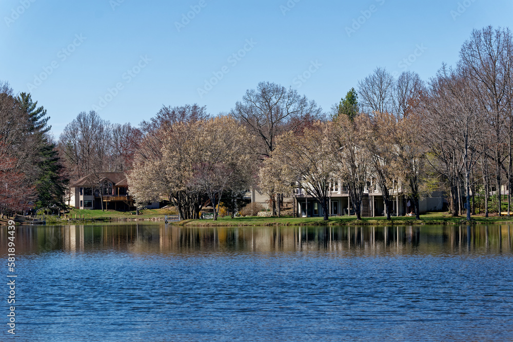 Houses on the lake