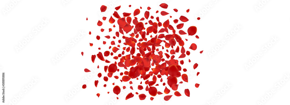 Fototapeta premium Beautiful Lotus Spring Vector Panoramic White