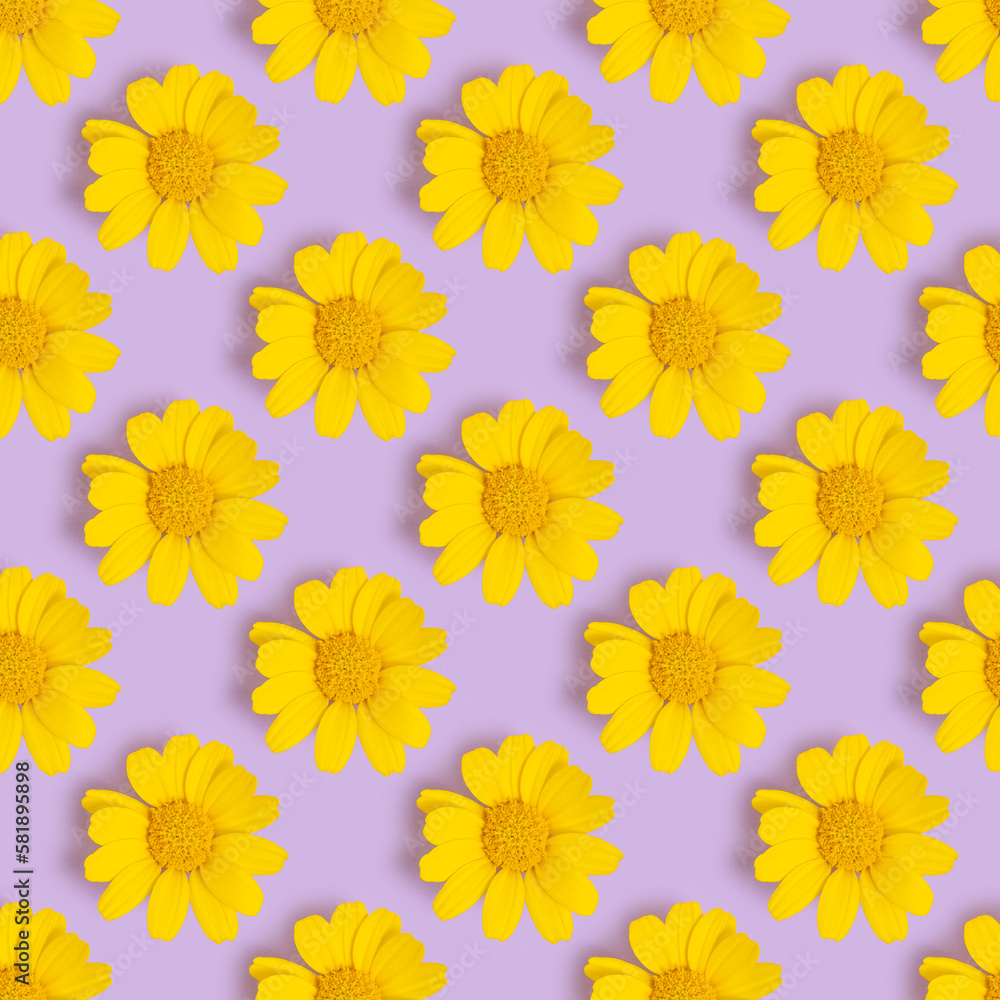 Seamless pattern with yellow daisy for Spring holidays, Women's Day, Wedding Day on purple background. Seamless pattern with yellow daisy for Spring holidays, Women's Day, Wedding Day on purple background.