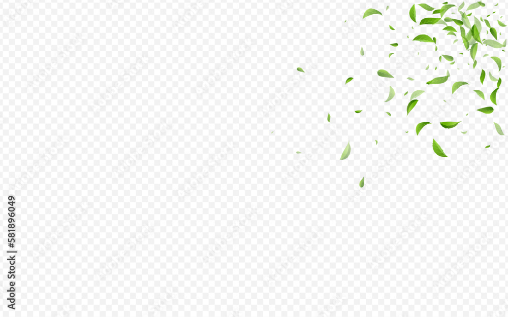 Grassy Leaves Falling Vector Transparent Grassy Leaves Falling Vector Transparent