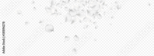 White Peach Vector Transparent Panoramic