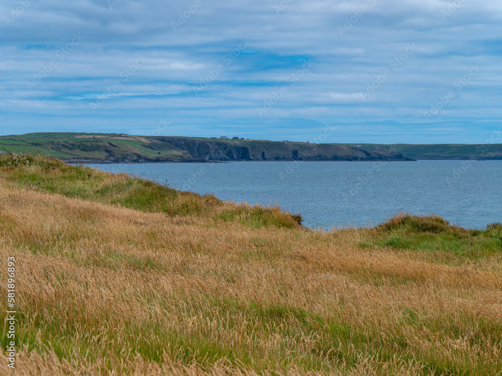 Dense herbaceous vegetation on the rocky coast of the Atlantic Ocean. Nature of Northern Europe. Seaside landscape. Green grass field near body of water under blue sky Dense herbaceous vegetation on the rocky coast of the Atlantic Ocean. Nature of Northern Europe. Seaside landscape. Green grass field near body of water under blue sky