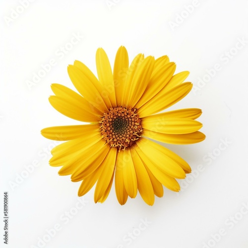 A yellow daisy on white background Generative AI