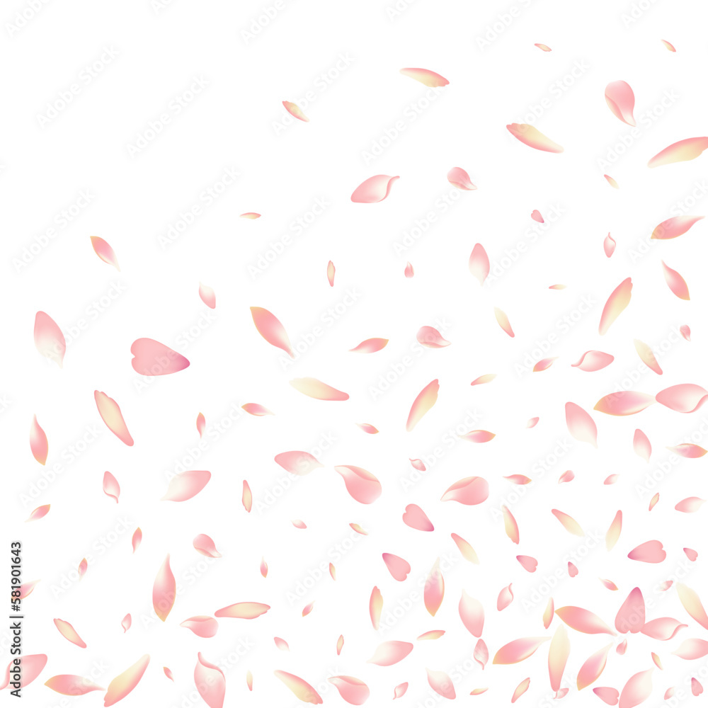 Transparent Lotus Petal Vector White Background. Transparent Lotus Petal Vector White Background.