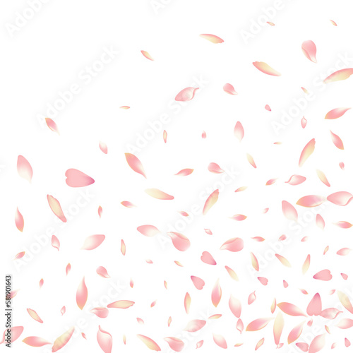 Transparent Lotus Petal Vector White Background.