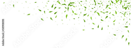 Lime Greens Forest Vector Panoramic White