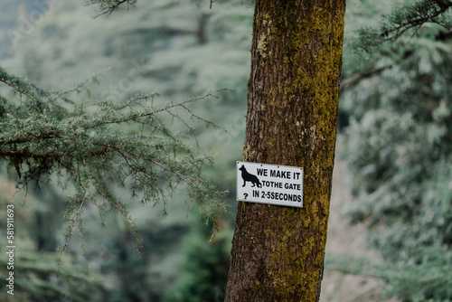 sign in the forest photo