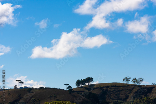 Landscape of the mountains of Campos do Jordao