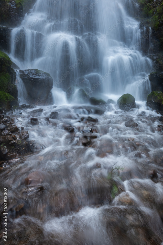 Fototapeta premium Waterfall in the forest flows like silk over mossy rocks in the Columbia River Gorge