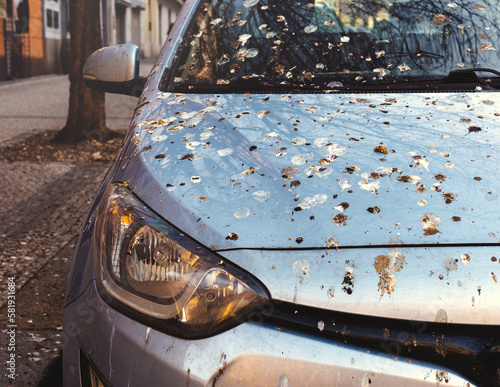 Car Heavily Covered with Bird Excrement, the Result of Parking under Trees in the City