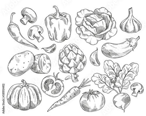 Vegetables sketch set. Linear icons with cabbage, pepper, tomato, garlic, potato, eggplant, artichoke and pumpkin. Fresh ripe food. Cartoon linear vector collection isolated on white background