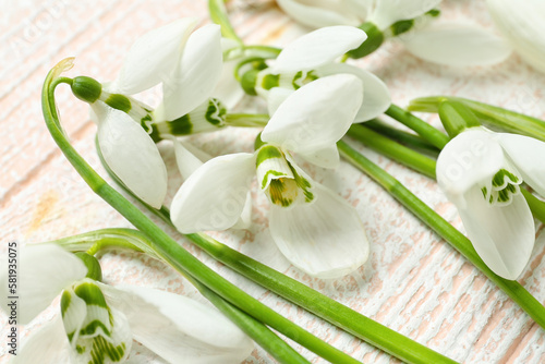 Beautiful snowdrops on wooden background  closeup