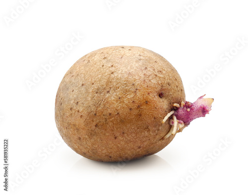 Tablou pe pânză Sprouted potato close-up isolated on white background