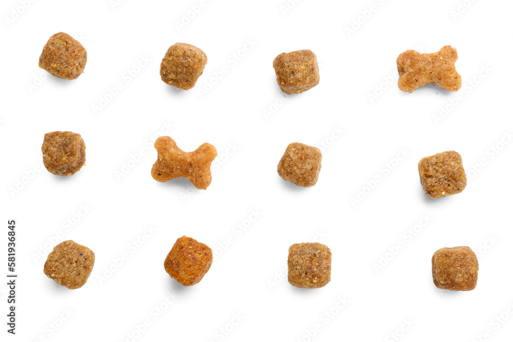 Composition with dry pet food on white background Composition with dry pet food on white background