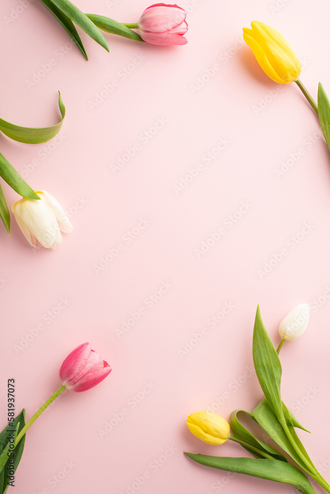 Spring mood concept. Top view vertical photo of fresh flowers colorful tulips on isolated pastel pink background with copyspace in the middle - obrazy, fototapety, plakaty 