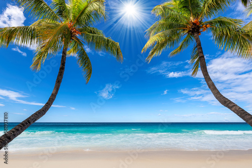 Fototapeta Naklejka Na Ścianę i Meble -  Sunny tropical beach. The palm trees in tropical beach. Summer vacation and tropical beach background concept.
