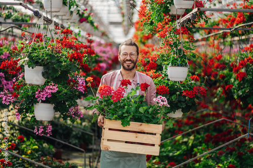 Man gardener working in a greenhouse