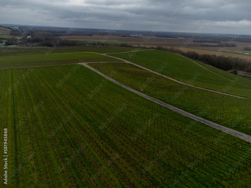 Aerial panoramic winter view on cloudy landscape, hilly vineyards near Ay gran cru champagne village, wine production in France Aerial panoramic winter view on cloudy landscape, hilly vineyards near Ay gran cru champagne village, wine production in France