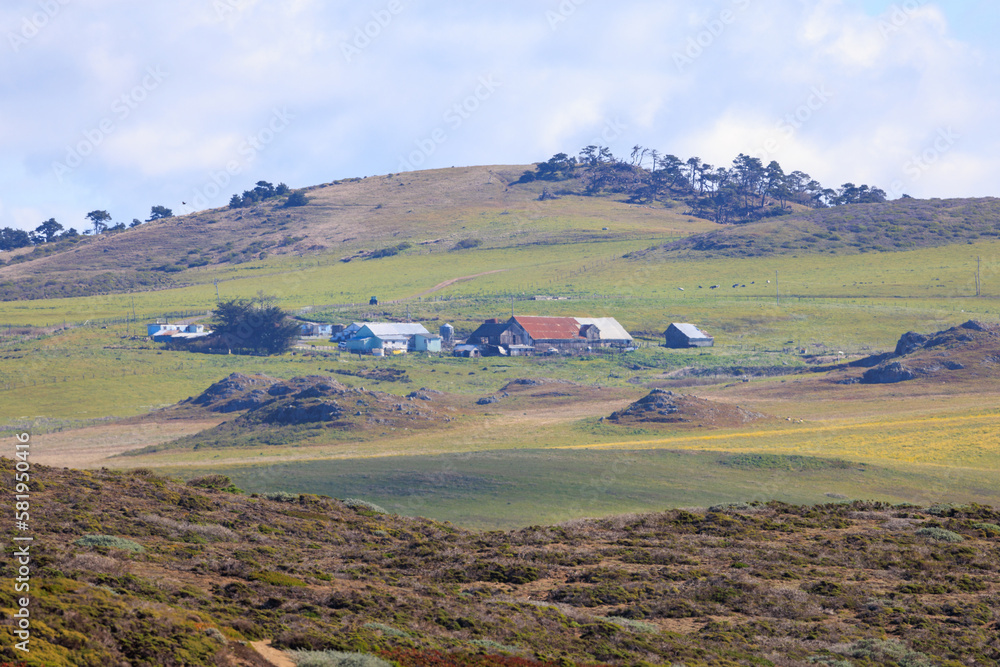 Traditional American cattle ranch on rolling green hills of California