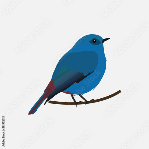 A very beautiful bird vector art