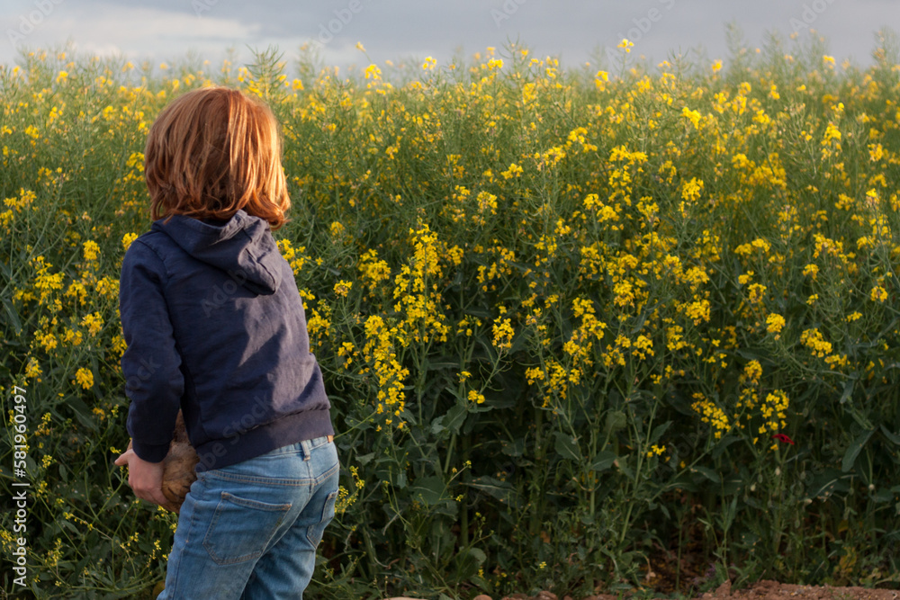 Fototapeta premium niño en campo de colza