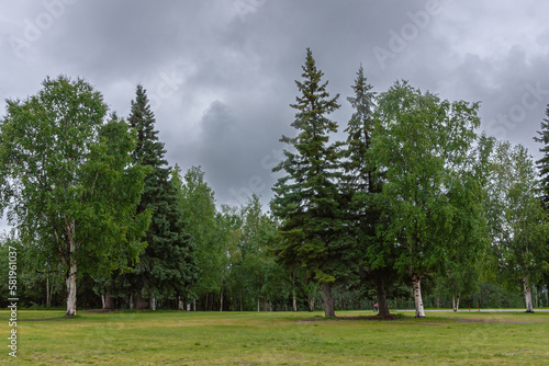 Fairbanks  Alaska  USA - July 27  2011  University of Alaska. Lawn with green trees at the grounds around the buildings under gray cloudscape