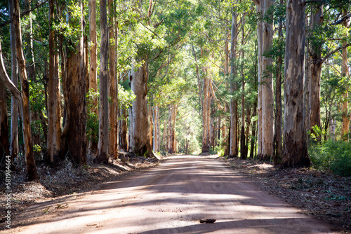 Old Vasse Road - Western Australia