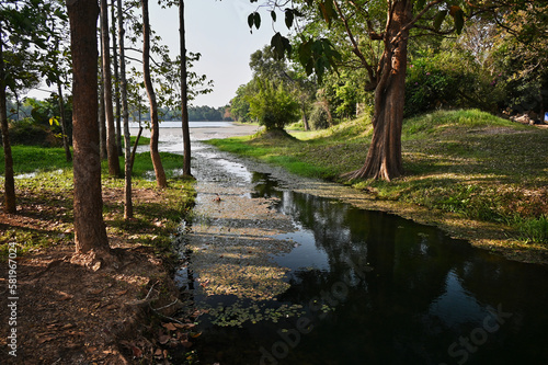 Lake with Creek and a Forest with a Tree Reflecting in Water