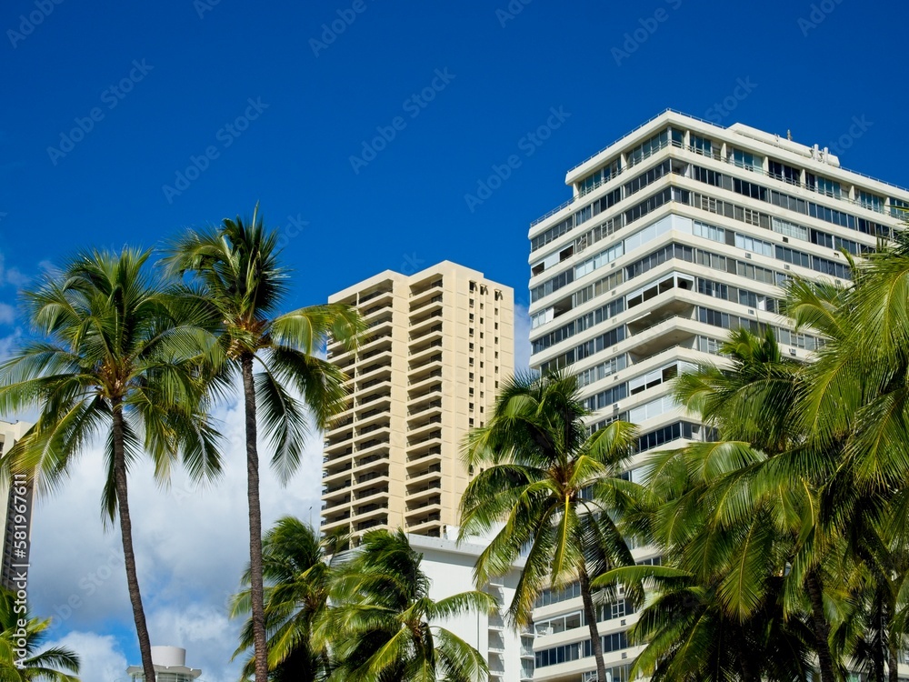 High-rises loom above Waikiki, Honolulu's famed tourist district