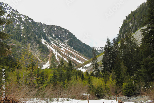 Sub-alpine terrain in Strathcona Provincial Park, Vancouver Island, British Columbia, Canada © Wandering Bear