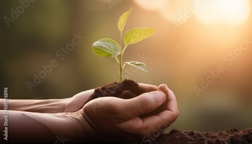 hand holding young plant on blur green nature background and sunlight. Generative ai