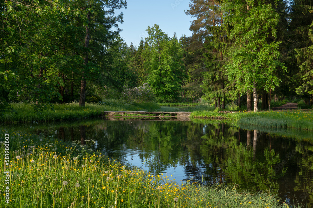 View of the the Upper Ponds in the Catherine Park of Tsarskoye Selo on a sunny summer day, Pushkin, St. Petersburg, Russia View of the the Upper Ponds in the Catherine Park of Tsarskoye Selo on a sunny summer day, Pushkin, St. Petersburg, Russia
