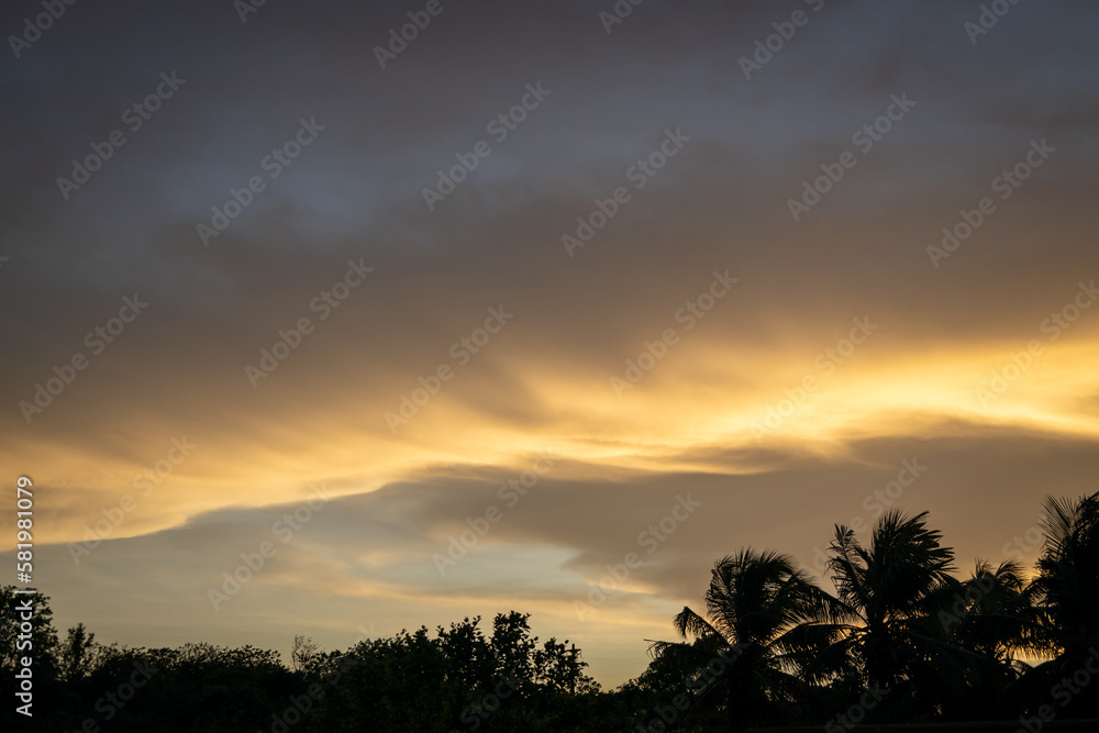 Beautiful sunset between palm trees.