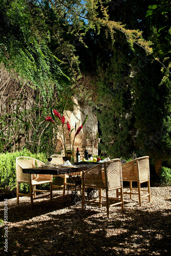 Mesa de madera con sillas y viandas con vinos  y un florero en el patio de una casona antigua rodeada de vegetación. photo