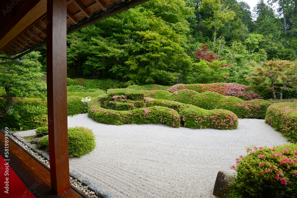 大池寺　書院から庭園を望む　滋賀県甲賀市水口町