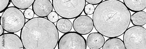 Log cut, vector banner. Tree rings pattern, shades of gray. photo