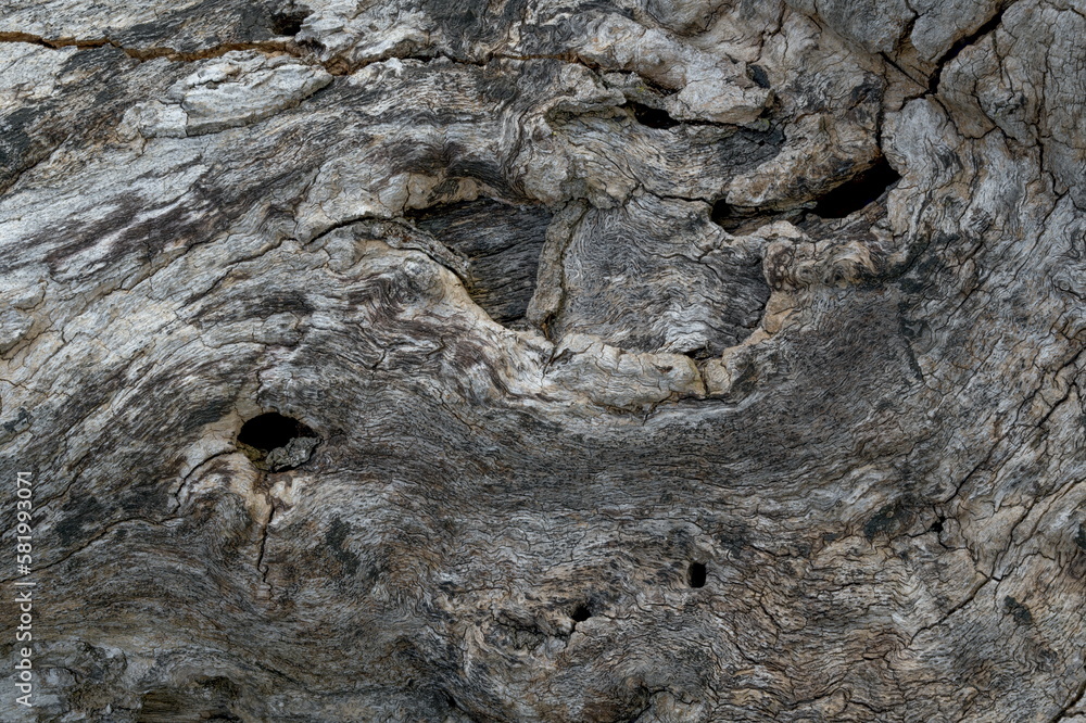 custom made wallpaper toronto digitalTree Bark